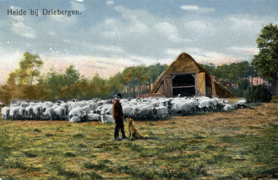 10061 Gezicht op de voorgevel van een schaapskooi met een kudde schapen bij Driebergen. N.B. De gemeenten Driebergen en ...